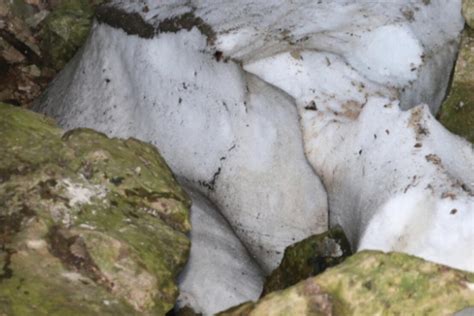 K­a­r­l­ı­k­ ­M­a­ğ­a­r­a­s­ı­­n­d­a­ ­k­a­r­ ­k­ü­t­l­e­s­i­ ­a­ğ­u­s­t­o­s­t­a­ ­b­i­l­e­ ­e­r­i­m­i­y­o­r­